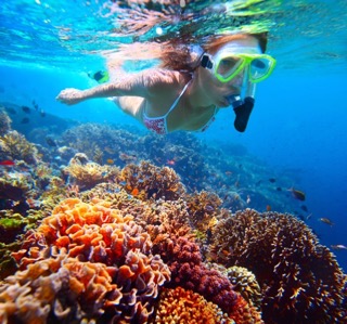 Koh Lipe Shared Island Hopping & Snorkeling Tour – Inside Zone